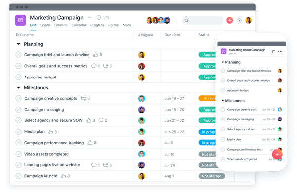 asana platform